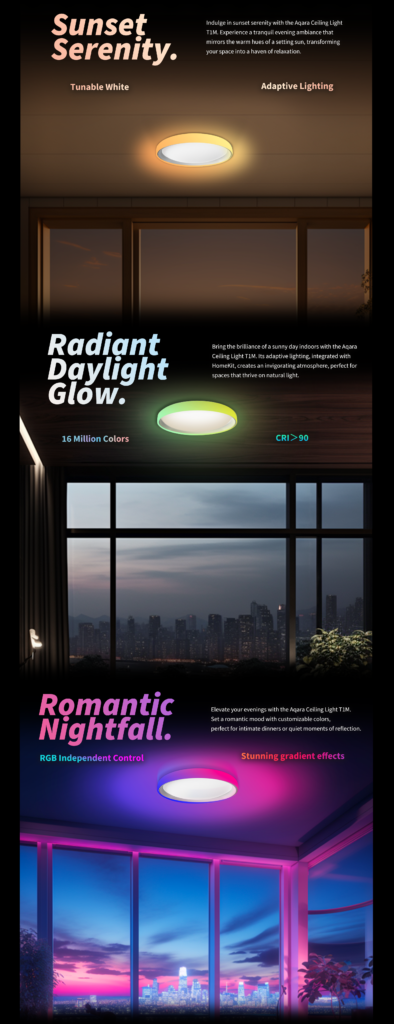 Ceiling Light T1M